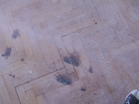 Renovace parket v Mšenu