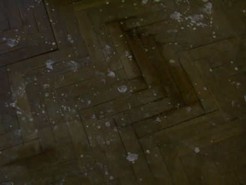 Renovace parketů v Mladé Boleslavi