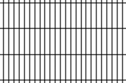 Pravidelný vzor lysů Pravidelný vzor lysů